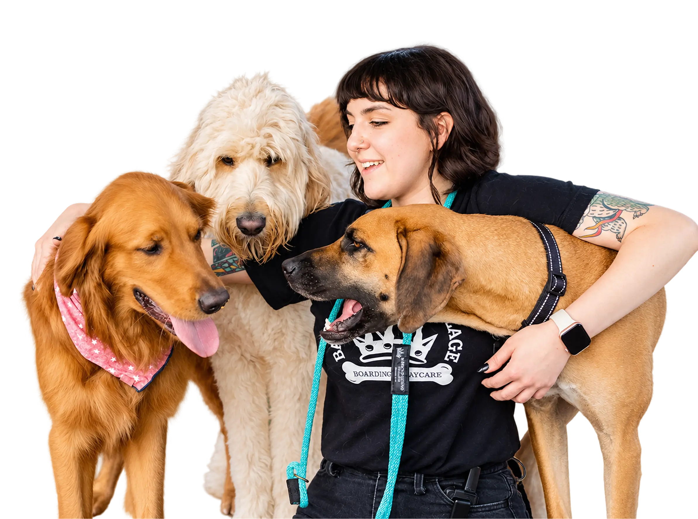 Company website artwork showing a caregiver with dogs. Credit: Pack Pet Care.